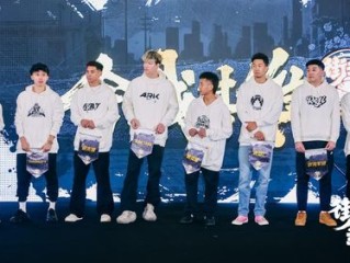 墨西哥篮球联赛比分风云，激烈对决背后的激情与荣耀