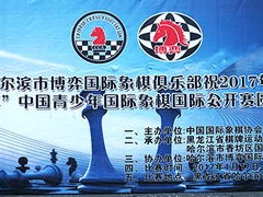 比赛的两大支柱，淘汰赛与循环赛的博弈与魅力