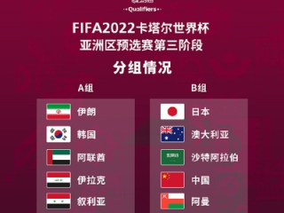 烽火连天，逐鹿卡塔尔，世界杯亚洲区预选赛程与排名深度解析