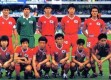 中国申办2026世界杯吗？梦想与现实的距离