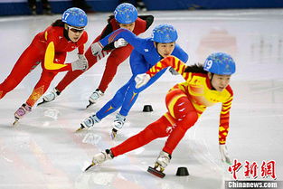 2026年冬奥会项目大盘点，激情与传统的完美融合
