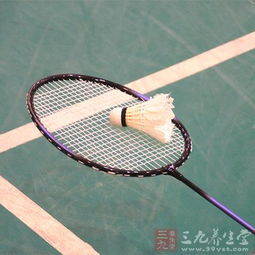 尤尼克斯羽毛球排行榜，2025年度最值得入手的球拍与装备全解析