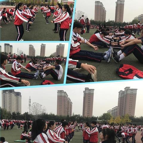 体育频道5现场直播，见证荣耀与激情的每一帧
