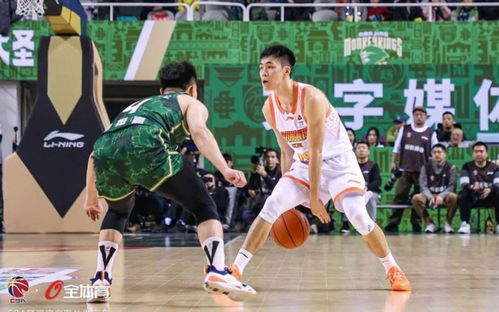 CBA2026全明星赛阵容名单揭晓，新老交替，星光熠熠