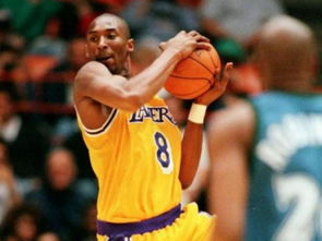 不止是看球，NBA球迷直播背后的情感社区与数字仪式