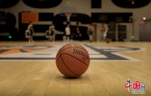 NBA总决赛几场比赛?带你读懂七场四胜制的魅力 NBA总决赛几场比赛?带你读懂七场四胜制的魅力
