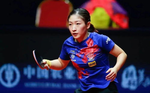 女足亚洲杯2026最新消息，中国女足全力备战，目标重返亚洲之巅