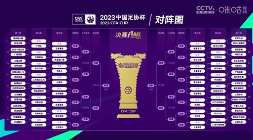 中超最新赛制解读，变革中的平衡与挑战