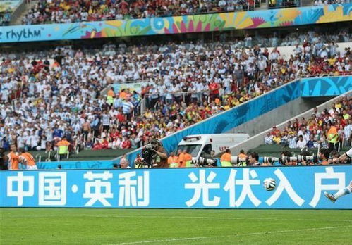 2010年世界杯中国队名单，一段未曾开启的旅程与背后的故事